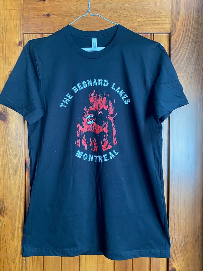 Besnard Lakes from Montreal, front and back print (size Large pictured).