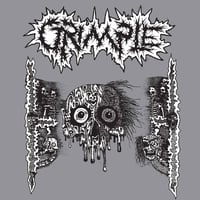 Image of GRIMPLE / LOGICAL NONSENSE - “ A DARKER SHADE OF GREY” MAIL ORDER EDITION 