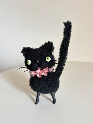 Image of Wooly Bully Cat in Black 
