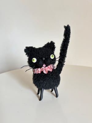 Image of Wooly Bully Cat in Black 