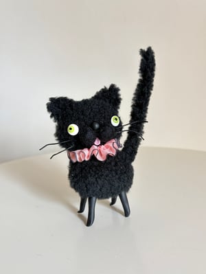 Image of Wooly Bully Cat in Black 
