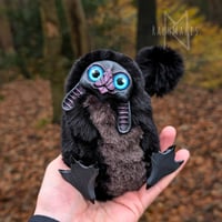 Image 1 of Black Lop Eared Gribblegruff