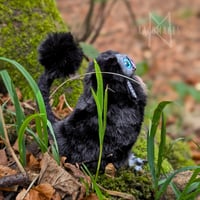 Image 2 of Black Lop Eared Gribblegruff