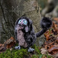 Image 4 of Black Lop Eared Gribblegruff