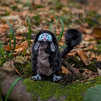 Image 5 of Black Lop Eared Gribblegruff