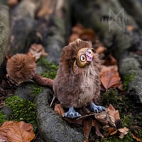 Image 3 of Chestnut Gribblegruff