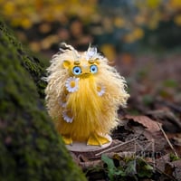 Image 1 of Wild Daisy Forager Staglett 