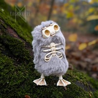 Image 1 of Silver and Bone Skellie 