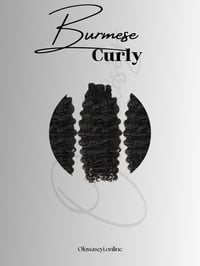 Burmese Curly Invisible Clip-In Hair Extensions