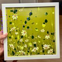 Image 5 of 'Chasing Daisies'