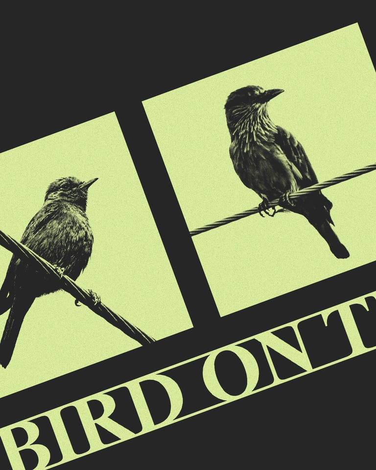 BOTW Lowrie Tee Image 2