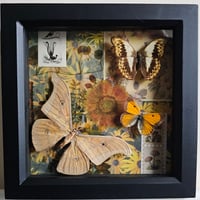 Scrapbook - Yellow Insect Medley