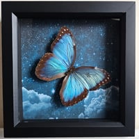 Celestial - Blue Morpho Butterfly