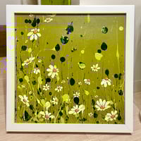Image 4 of 'Chasing Daisies'