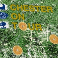 Image 2 of Chester Roses