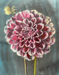 Image 2 of Dahlia study (A)  an original painting by Flora Roberts