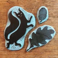 Image 3 of Red Squirrel