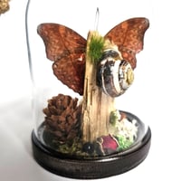 Image 3 of Blood Red Glider Butterfly Mini Woodland Hanging Dome