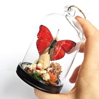 Image 4 of Blood Red Glider Butterfly Mini Woodland Hanging Dome