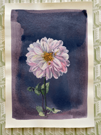 Image 1 of Dahlia study (D) an original painting by Flora Roberts