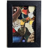 Image 2 of Butterfly & Moth Wings Collage Frame IV