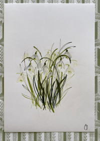 Image 1 of Snowdrop study by Claudia Lowry