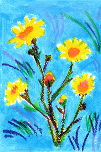 Image 10 of Miscellaneous