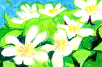 Image 8 of Miscellaneous