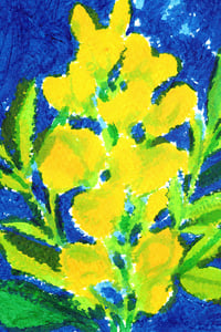 Image 11 of Miscellaneous