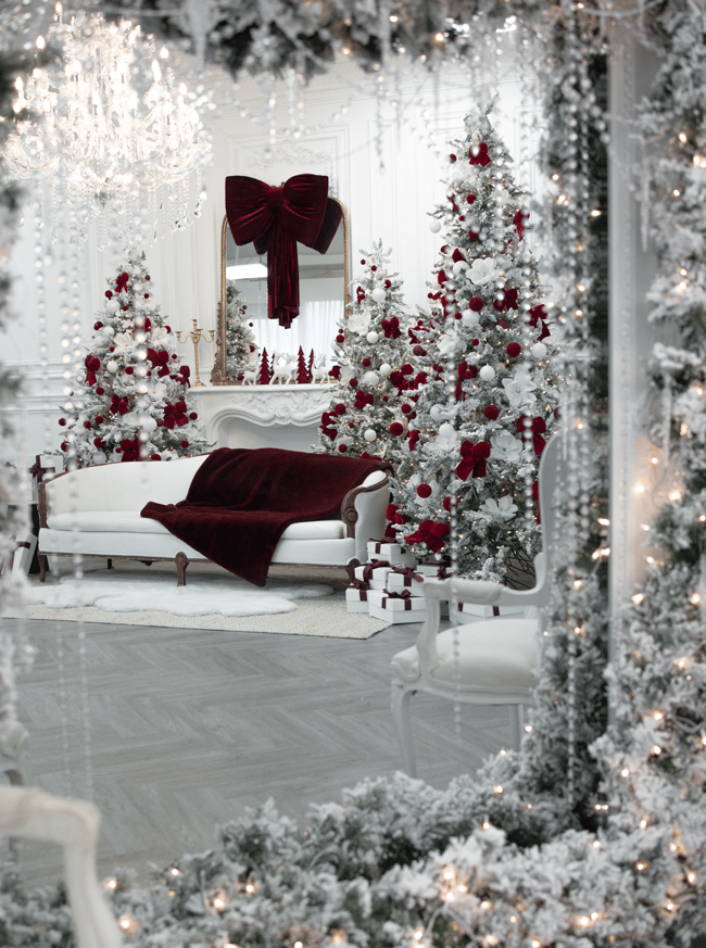 WINTER HOLIDAYS ❄️ MINI SESSIONS IN SOPHIA - December 10