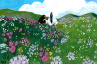 Image 3 of MDZS - P4P