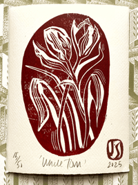 Uncle Tom Tulip print by Jo Sweeting