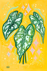 Image 5 of Botanical Series