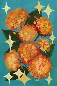 Image 14 of Botanical Series