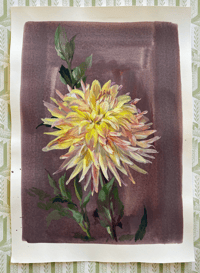 Giclee print Dahlia study (B) by Flora Roberts