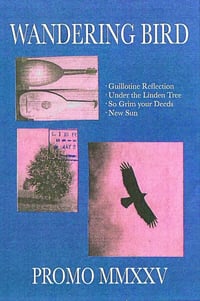 Wandering Bird - Promo MMXXV CS