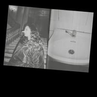 Image 3 of WHAT A TIME TO BE ALIVE