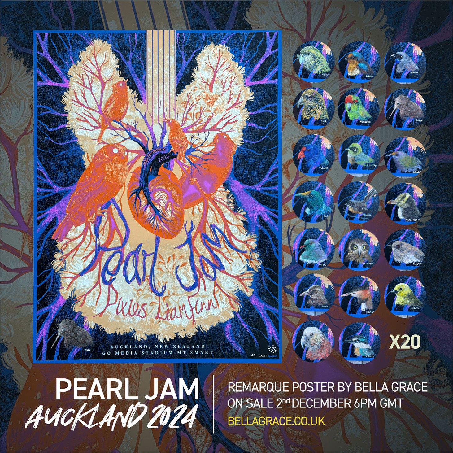Image of Remarque of Pearl Jam - Auckland New Zealand 2024