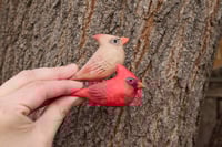 Image 1 of Worrybirds: Cardinals (SECONDS)