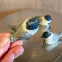 Image 3 of Worrybirds: Chickadees (SECONDS)