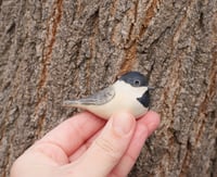 Image 1 of Worrybirds: Chickadees (SECONDS)