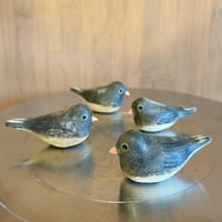 Image 2 of Worrybirds: Juncos (SECONDS)