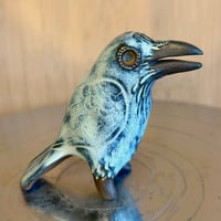 Image 1 of Medium Raven