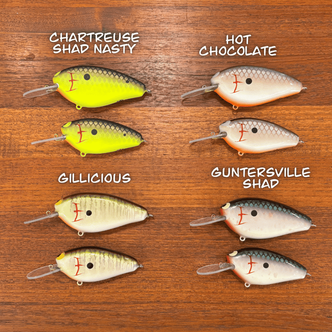 Epic Shad & Epic JR. Medium Diver Combo Set