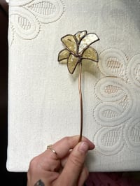 Image 3 of Antique Lily