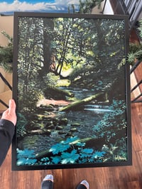 Camp Creek rhododendron