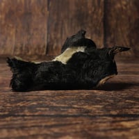 Plaque de peau de bœuf - avec fourrure -