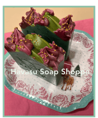 Image 2 of Succulent Satisfaction