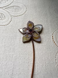 Image 2 of Blush Petunia