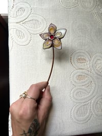 Image 3 of Blush Petunia